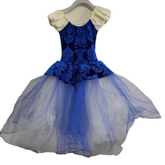 A Wish Come True Blue Ballet Dance Costume MC - Picture 2 of 7